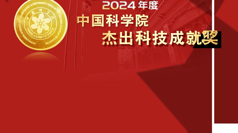 成都SaaS平台定制开发：揭秘定制化解决方案的关键要素
